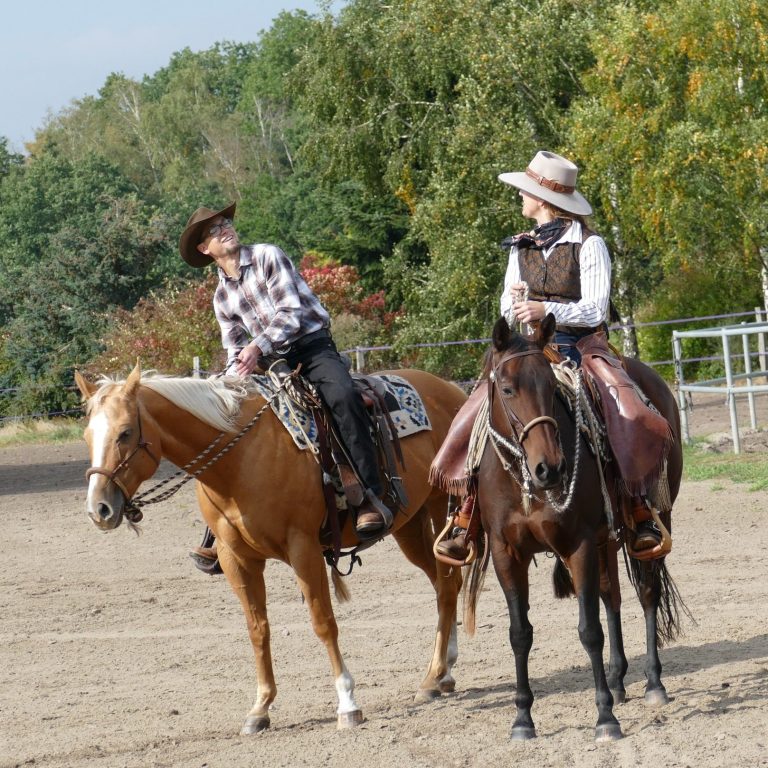 Rinderarbeit mit dem Pferd Cowgirl arbeitet Rinderherde